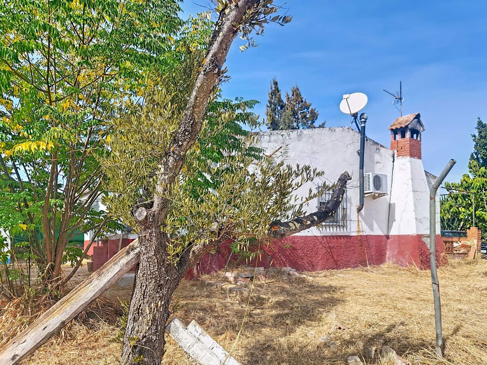 Finca/Country House for sale in Gibraleon with pool - € 149,900 (Ref: 10153258)