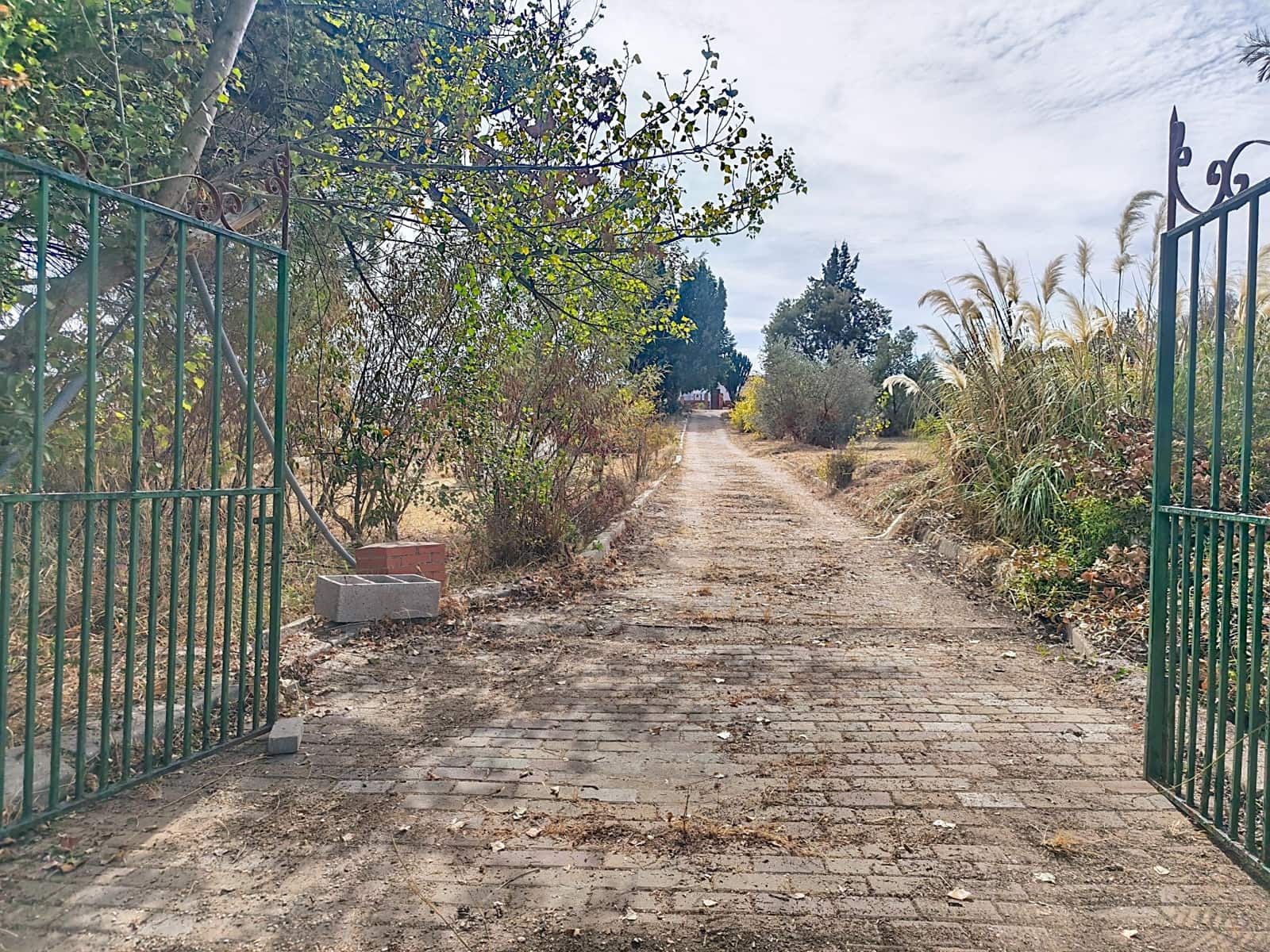Finca/Country House for sale in Gibraleon with pool - € 149,900 (Ref: 10153258)