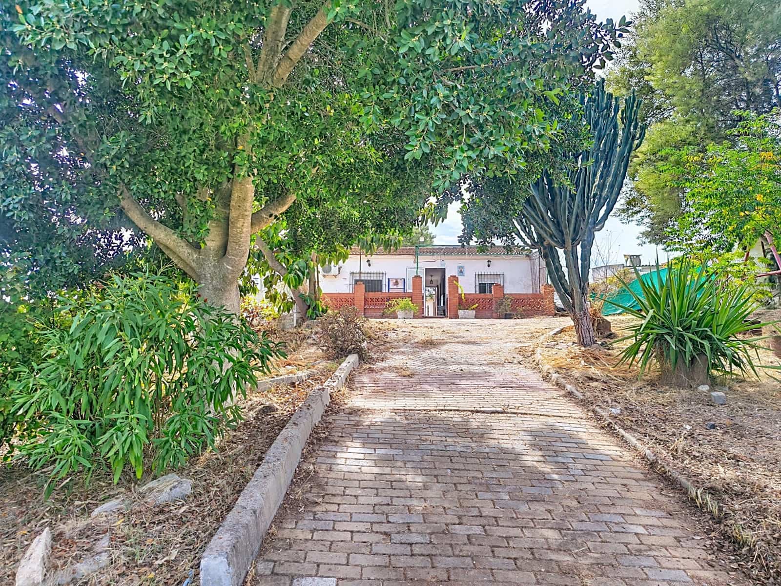 Finca/Country House for sale in Gibraleon with pool - € 149,900 (Ref: 10153258)