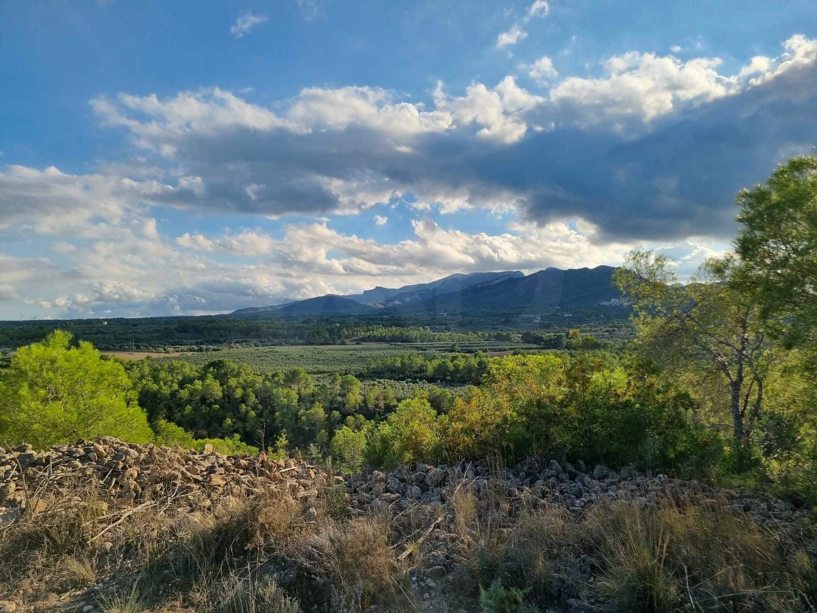 Terre non Aménagée à vendre à Ginestar - 20 000 € (Ref: 10156811)