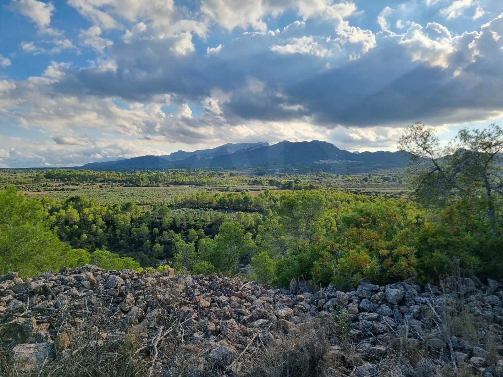 Terre non Aménagée à vendre à Ginestar - 20 000 € (Ref: 10156811)