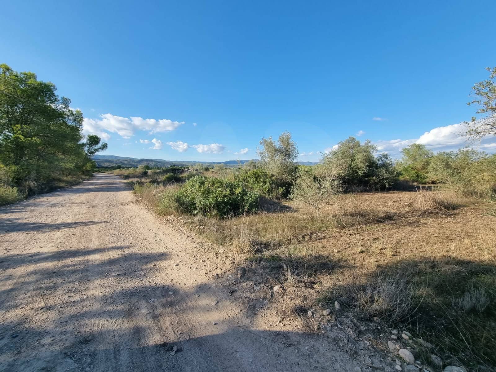 Terre non Aménagée à vendre à Ginestar - 20 000 € (Ref: 10156811)