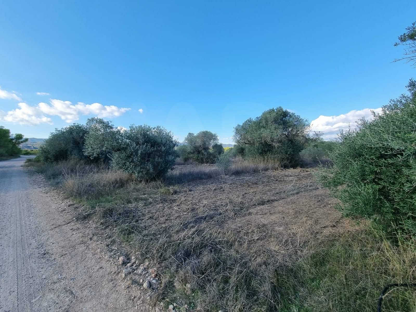 Terre non Aménagée à vendre à Ginestar - 20 000 € (Ref: 10156811)