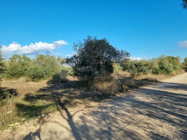 Terre non Aménagée à vendre à Ginestar - 20 000 € (Ref: 10156811)