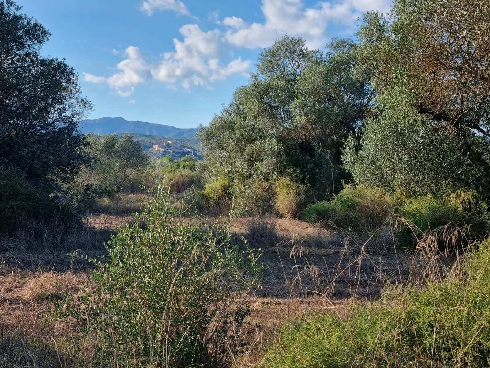 Terre non Aménagée à vendre à Ginestar - 20 000 € (Ref: 10156811)