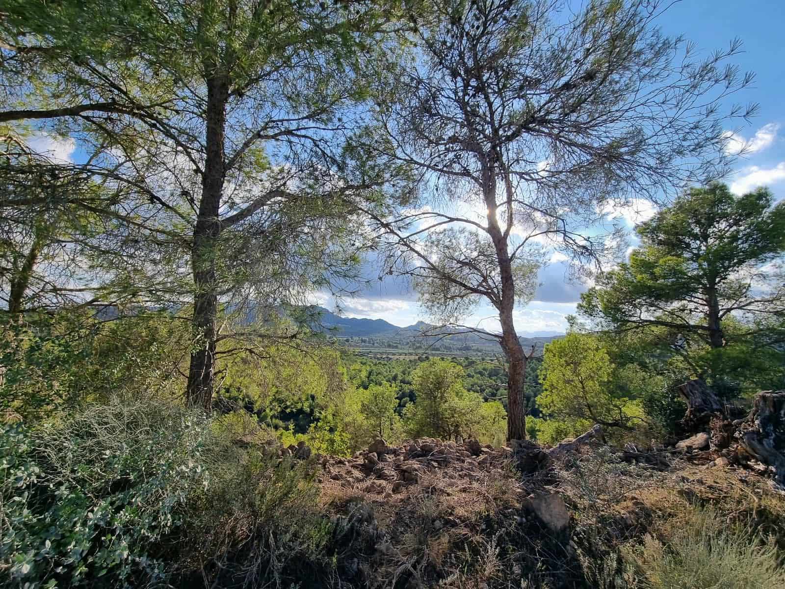 Terre non Aménagée à vendre à Ginestar - 20 000 € (Ref: 10156811)
