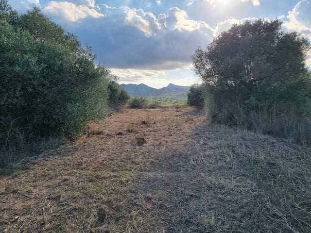 Terre non Aménagée à vendre à Ginestar - 20 000 € (Ref: 10156811)