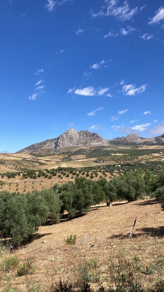 Terrain à Bâtir à vendre à Colmenar - 105 000 € (Ref: 10157102)