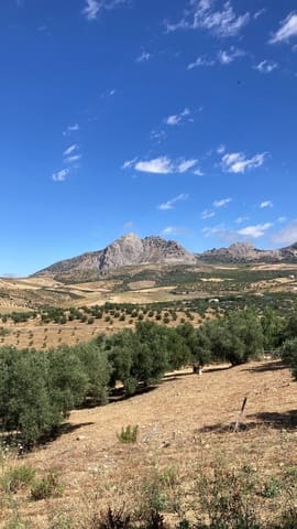 Terrain à Bâtir à vendre à Colmenar - 105 000 € (Ref: 10157102)