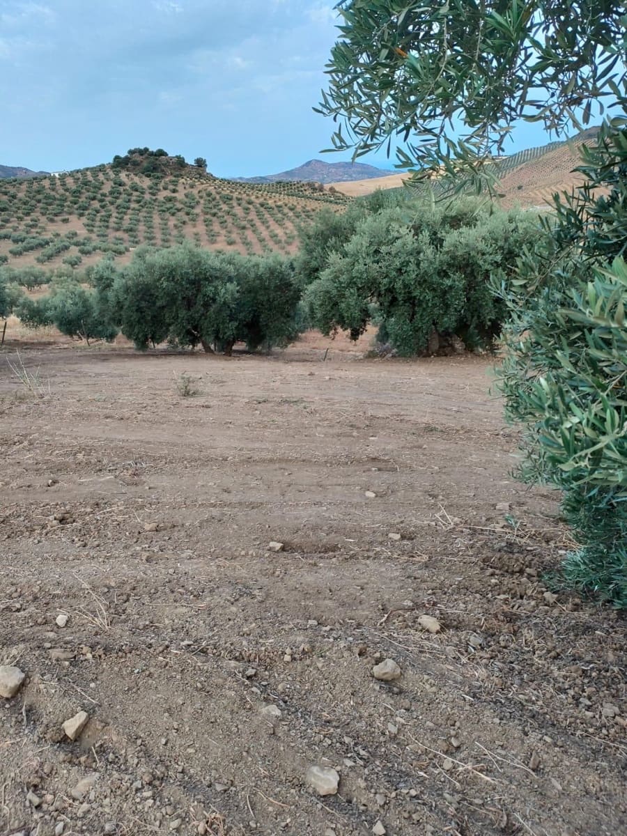 Terrain à Bâtir à vendre à Colmenar - 105 000 € (Ref: 10157102)