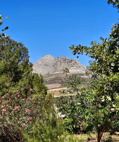 Terrain à Bâtir à vendre à Colmenar - 105 000 € (Ref: 10157102)