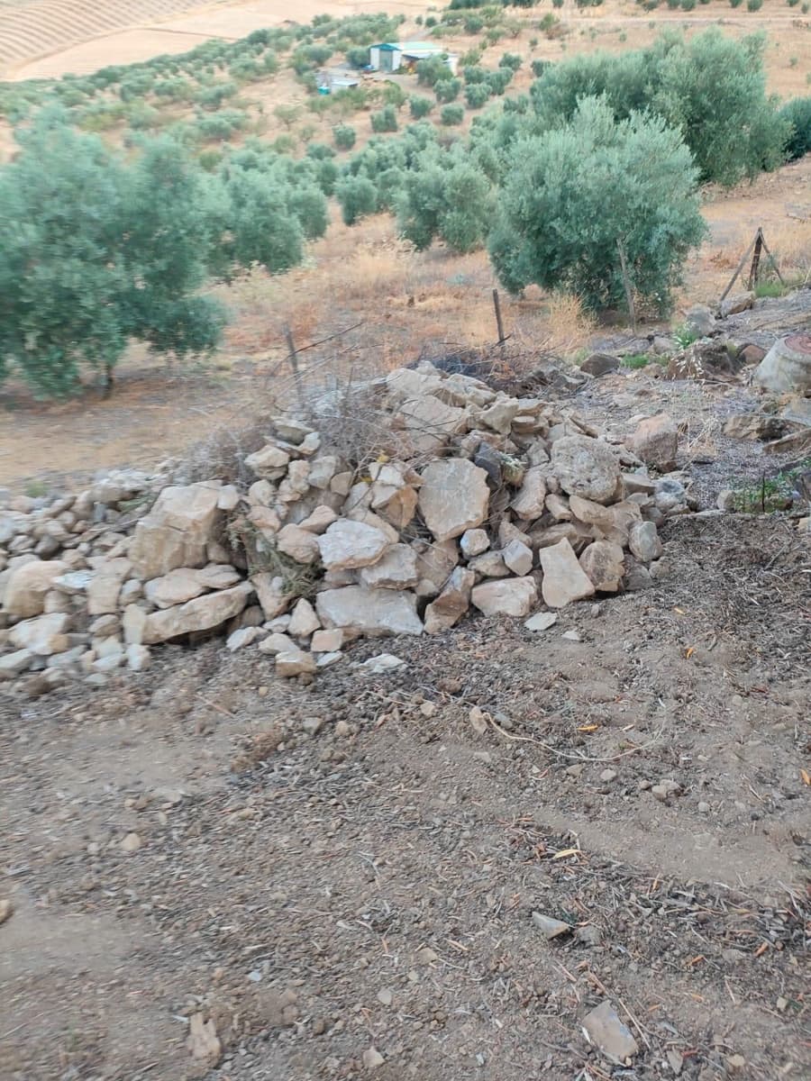 Terrain à Bâtir à vendre à Colmenar - 105 000 € (Ref: 10157102)