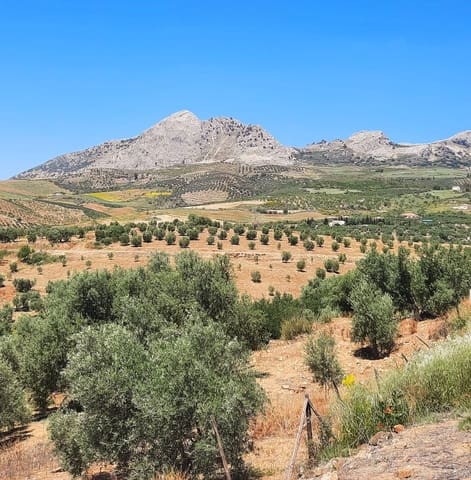 Terrain à Bâtir à vendre à Colmenar - 105 000 € (Ref: 10157102)