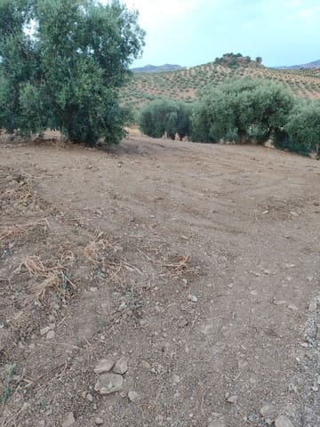 Terrain à Bâtir à vendre à Colmenar - 105 000 € (Ref: 10157102)