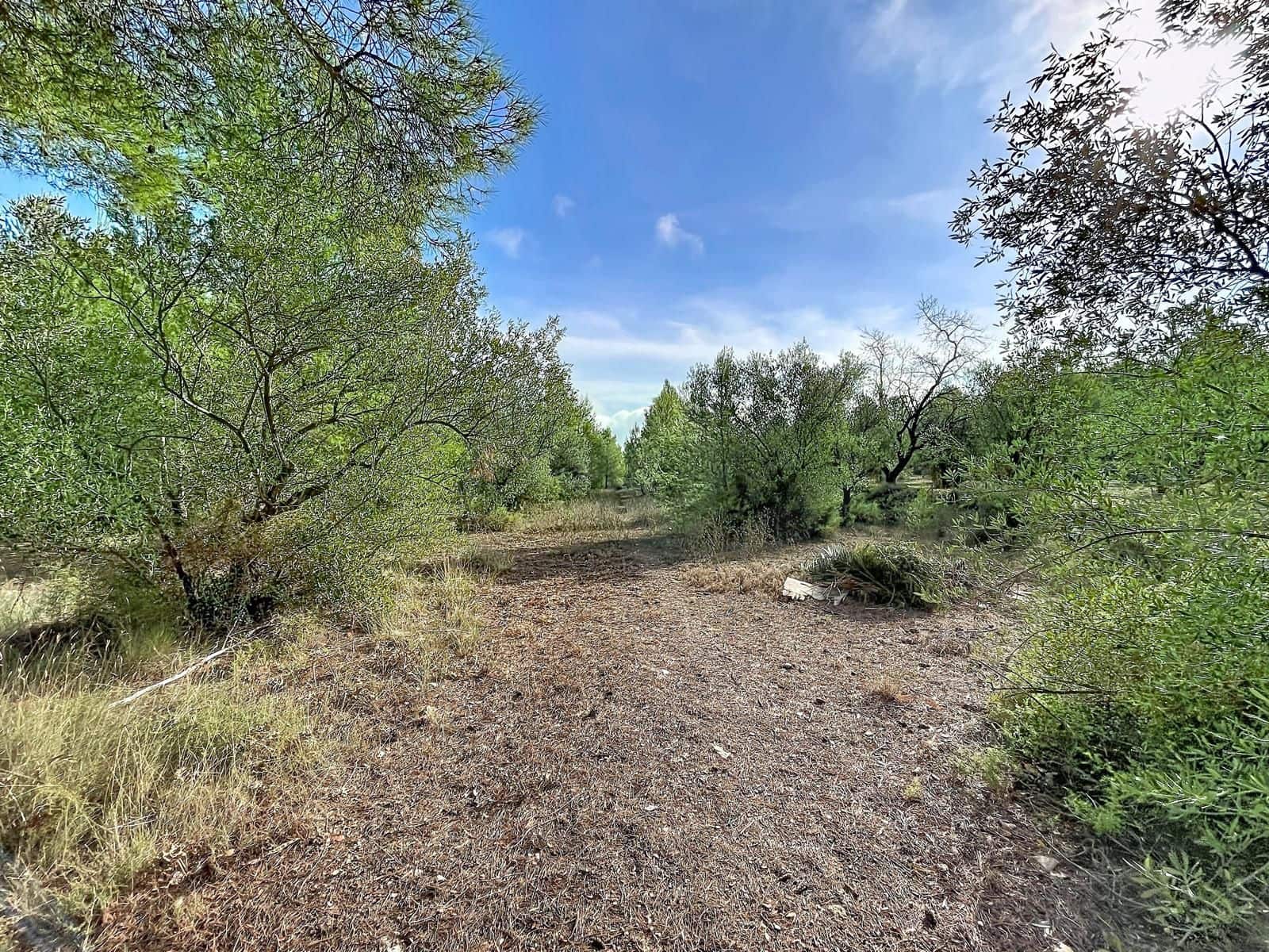 Undeveloped Land for sale in Alcoy / Alcoi - € 2,330,000 (Ref: 10157713)