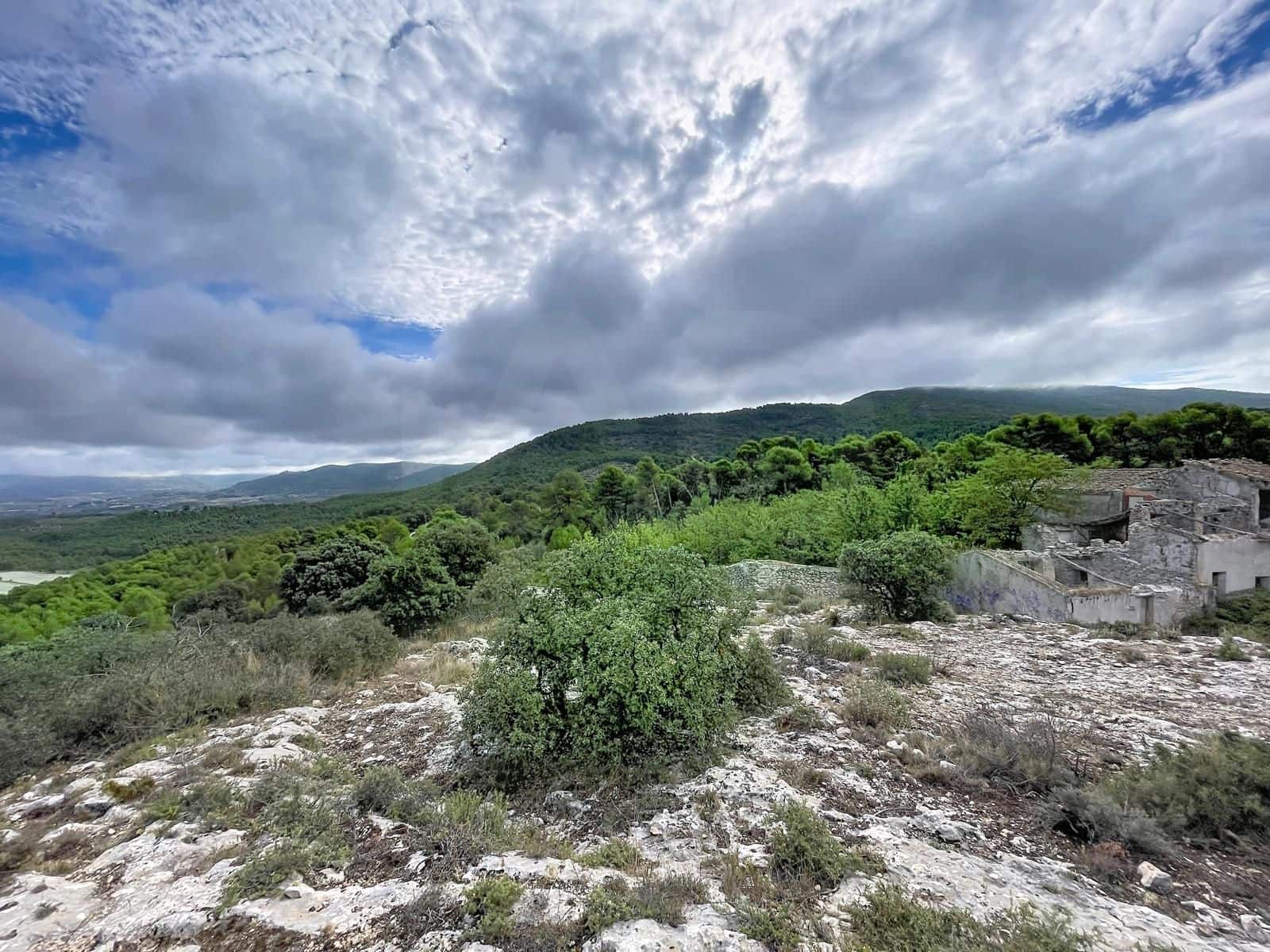 Undeveloped Land for sale in Alcoy / Alcoi - € 2,330,000 (Ref: 10157713)