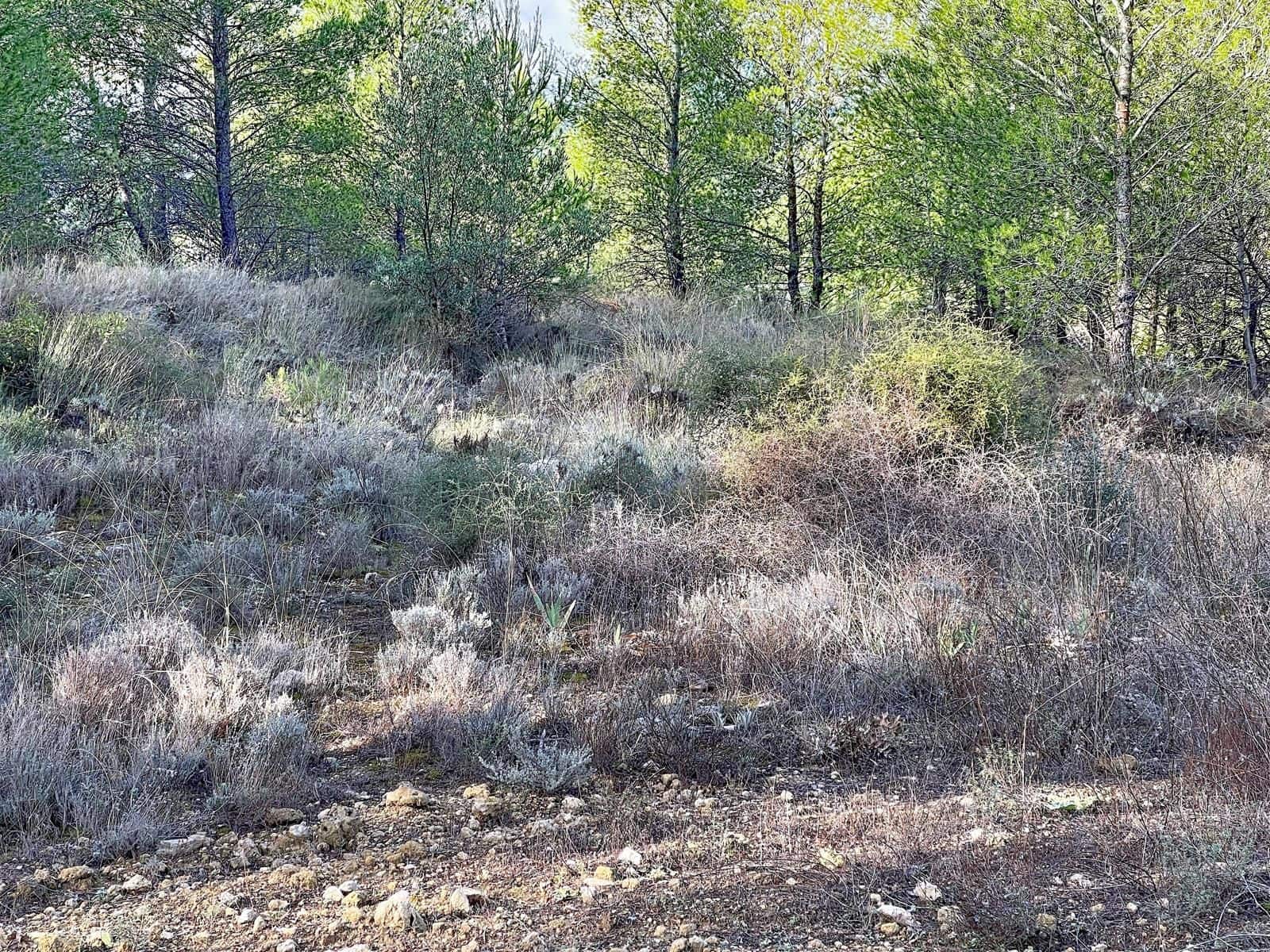 Byggegrund til salg i Muro de Alcoy - € 3.500.000 (Ref: 10157717)