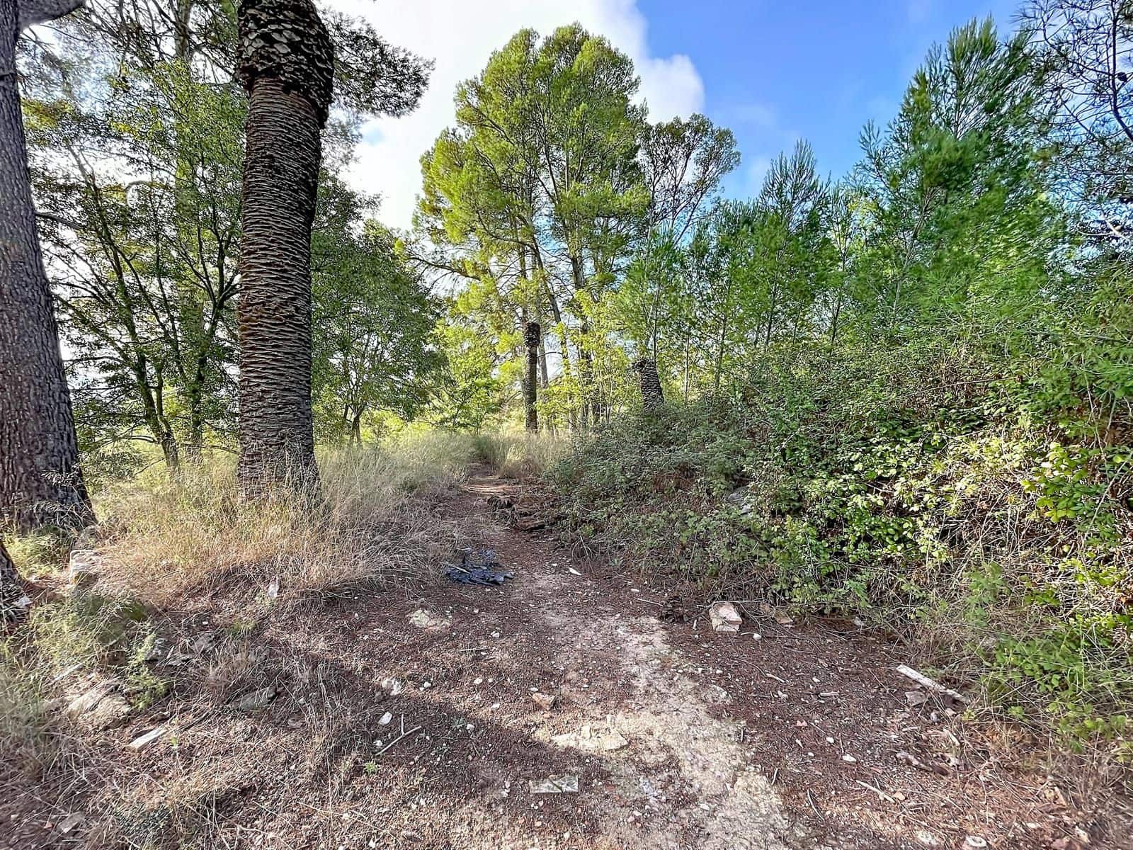 Building Plot for sale in Muro de Alcoy - € 3,500,000 (Ref: 10157717)