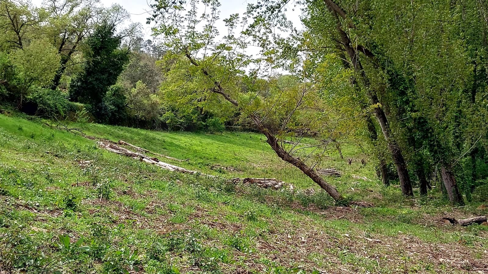 Terreno/Finca Rústica en Galaroza en venta - 52.000 € (Ref: 10158601)