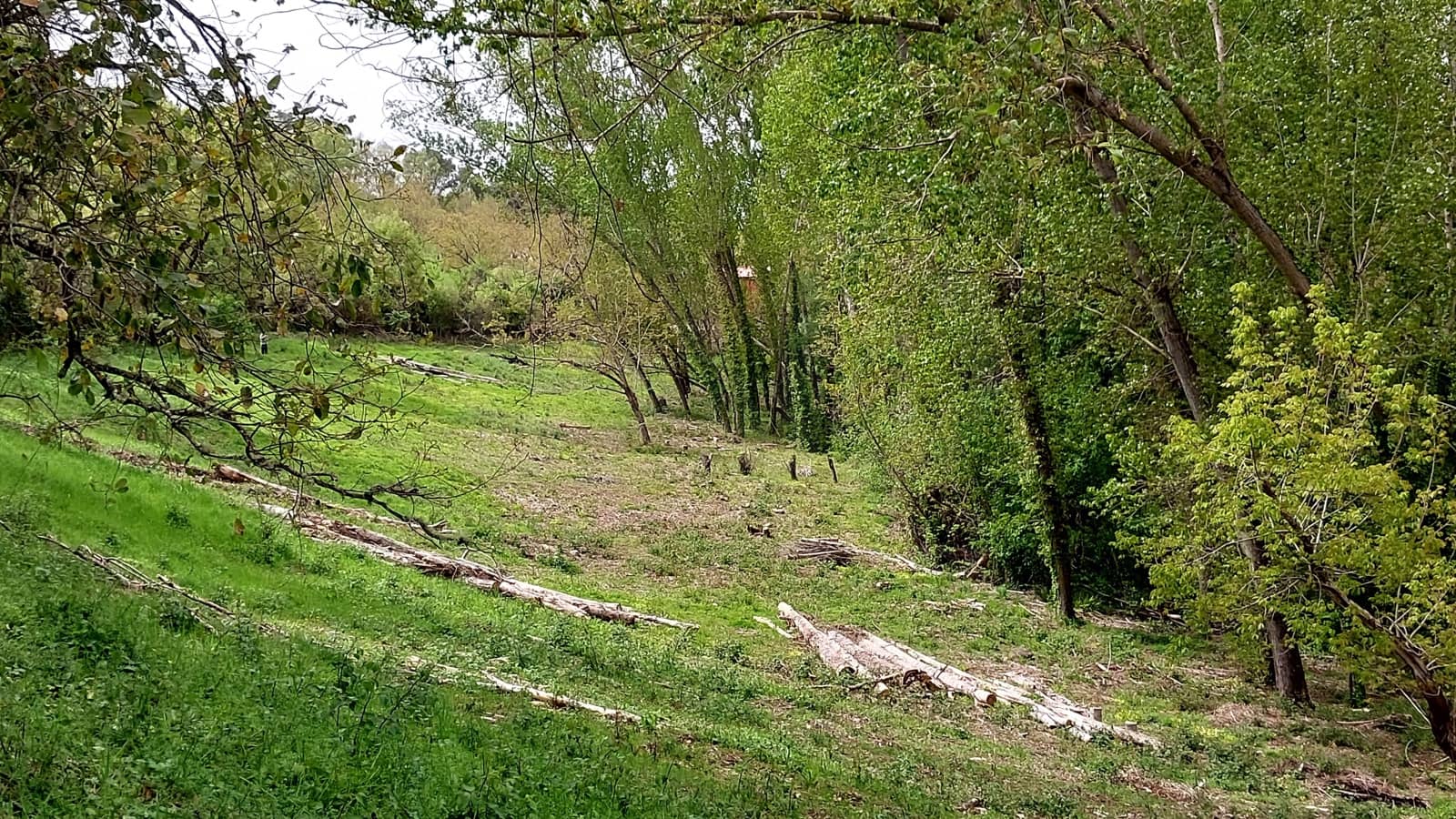Terreno/Finca Rústica en Galaroza en venta - 52.000 € (Ref: 10158601)