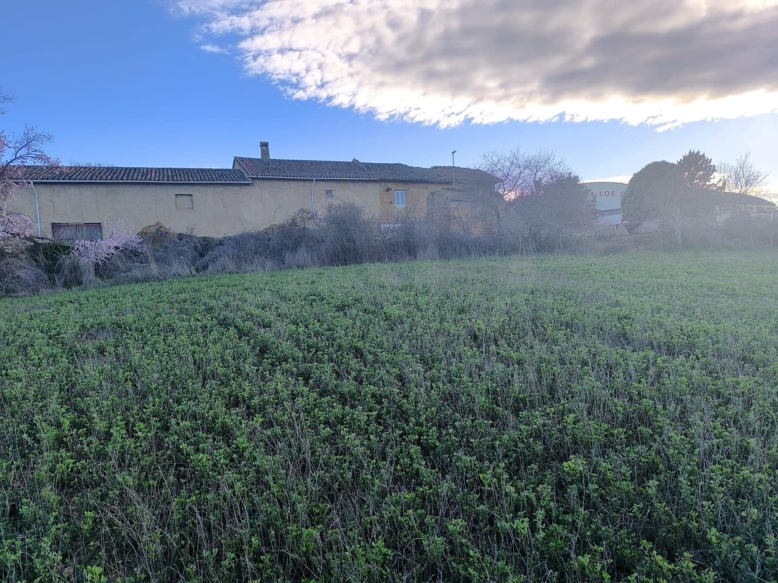 Building Plot for sale in Pajares de los Oteros - € 14,800 (Ref: 10160295)
