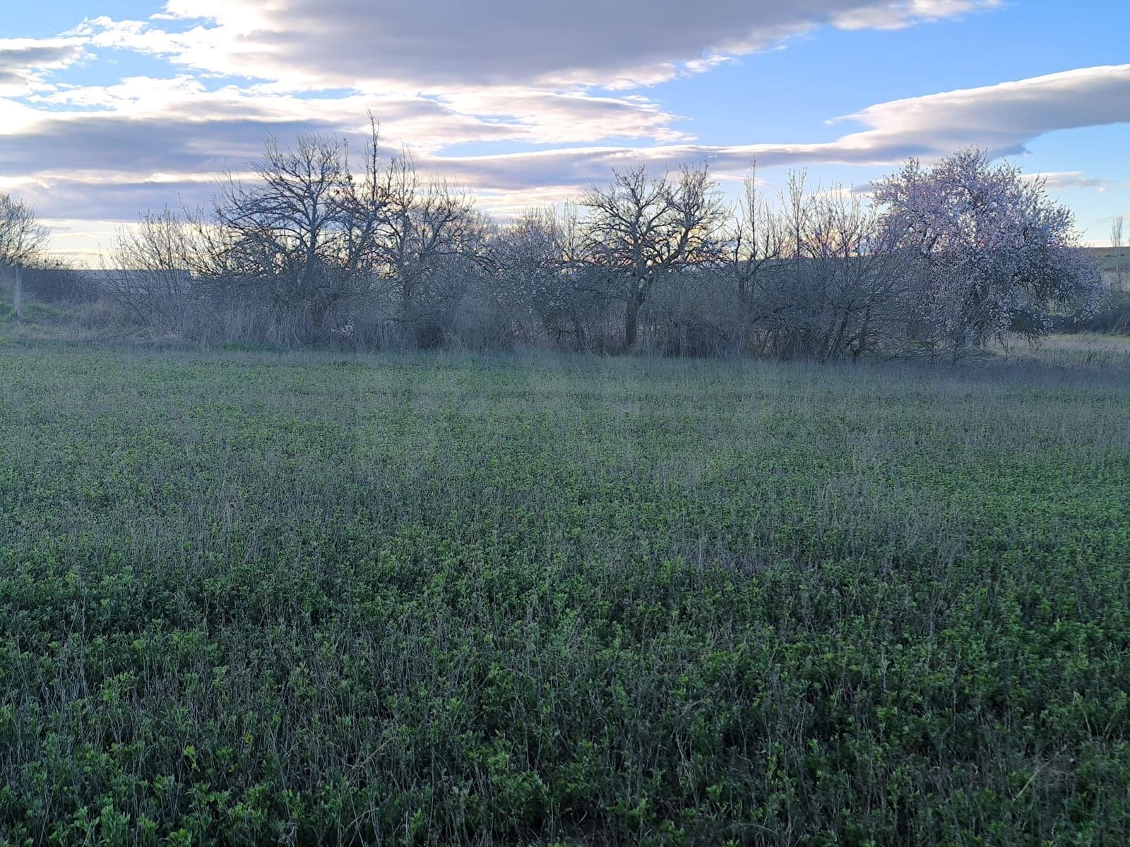 Building Plot for sale in Pajares de los Oteros - € 14,800 (Ref: 10160295)