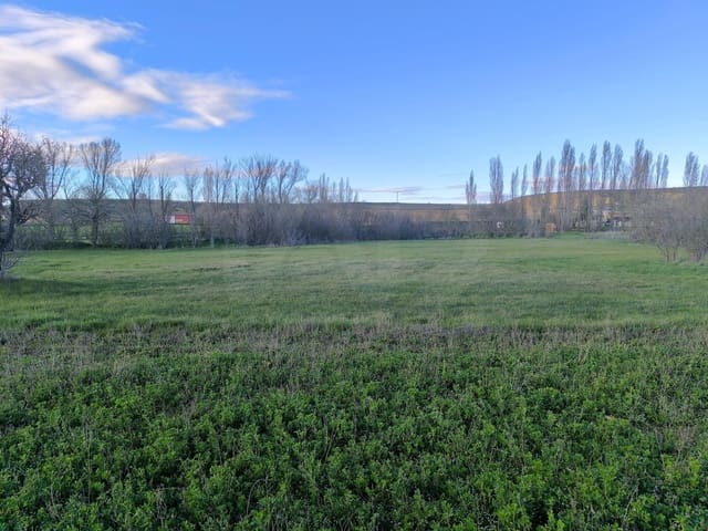 Terrain à Bâtir à vendre à Pajares de los Oteros - 14 800 € (Ref: 10160295)