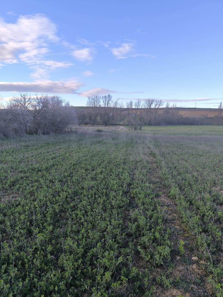 Building Plot for sale in Pajares de los Oteros - € 14,800 (Ref: 10160295)