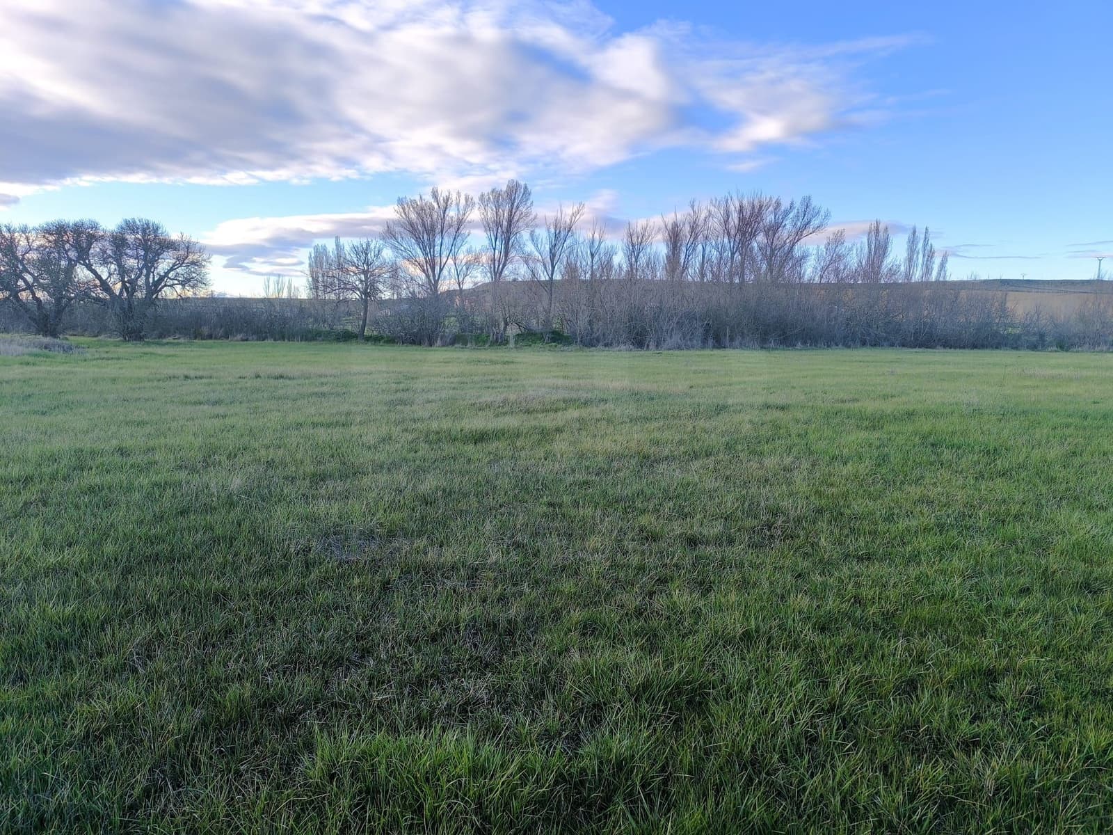 Building Plot for sale in Pajares de los Oteros - € 14,800 (Ref: 10160295)