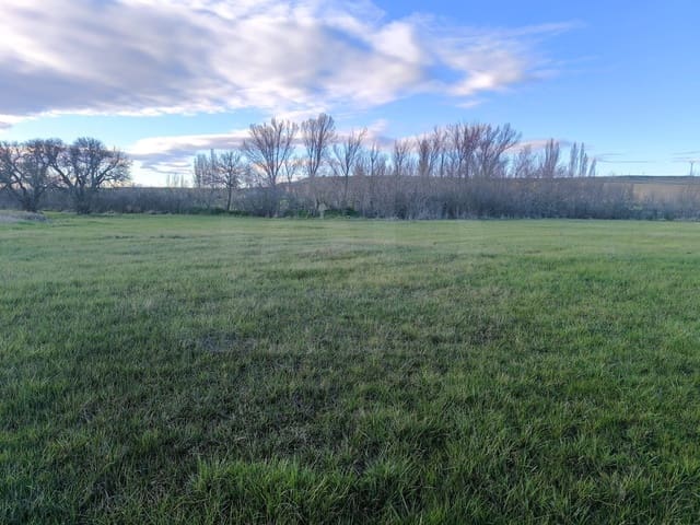 Terrain à Bâtir à vendre à Pajares de los Oteros - 14 800 € (Ref: 10160295)