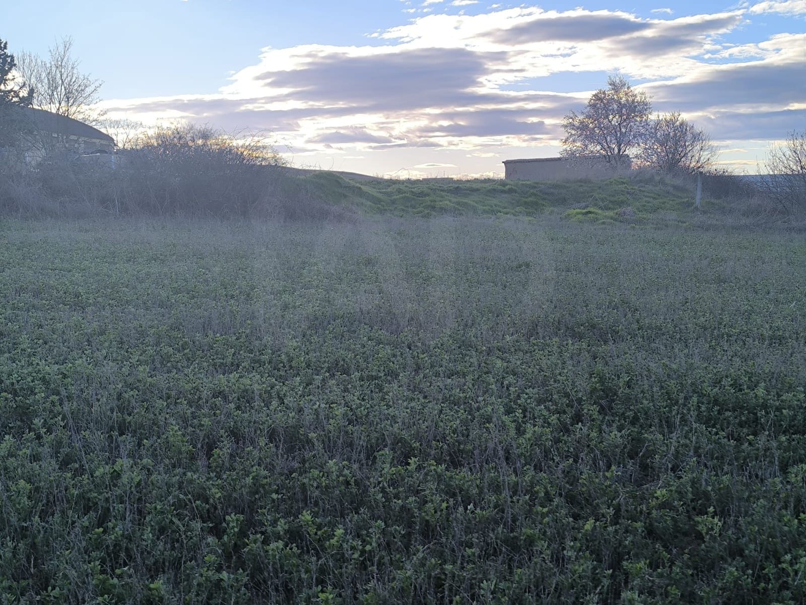 Building Plot for sale in Pajares de los Oteros - € 14,800 (Ref: 10160295)