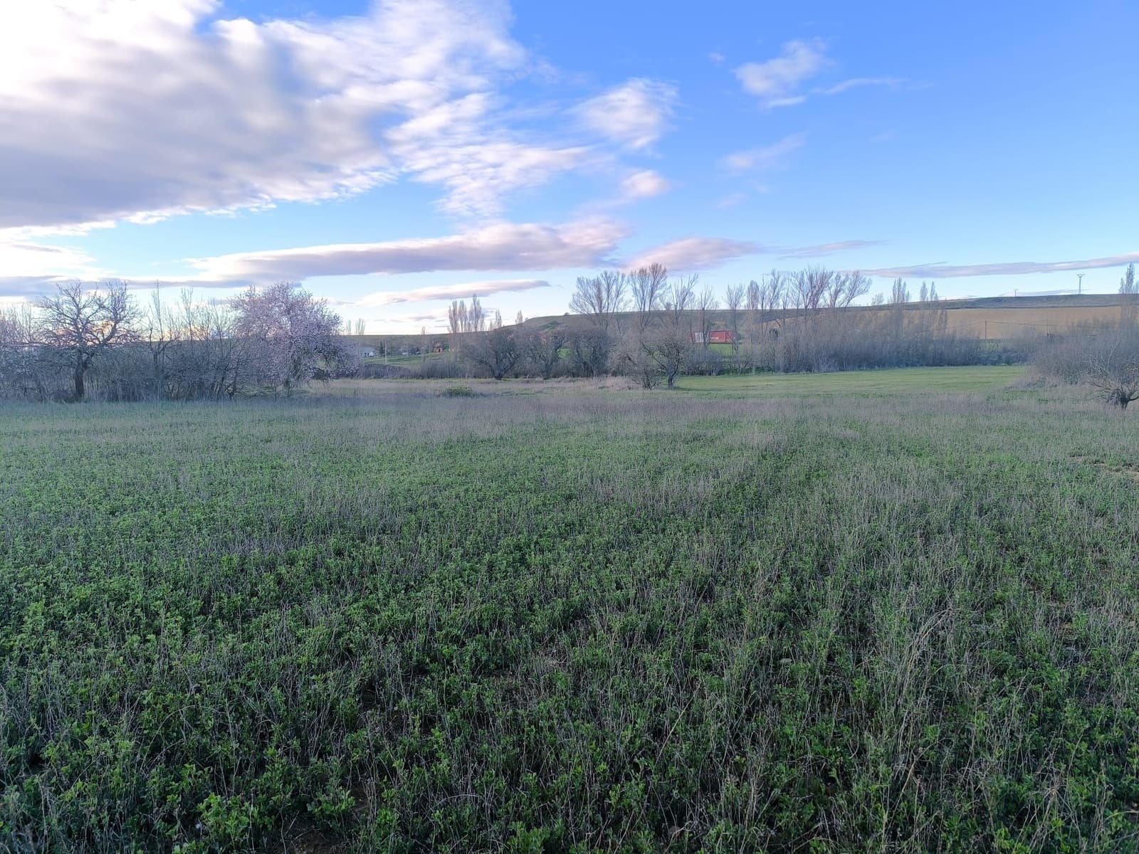 Building Plot for sale in Pajares de los Oteros - € 14,800 (Ref: 10160295)