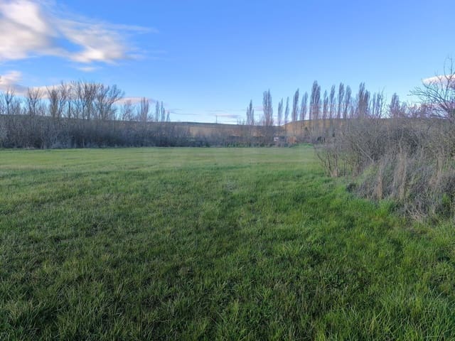 Solar/Parcela en Pajares de los Oteros en venta - 14.800 € (Ref: 10160295)