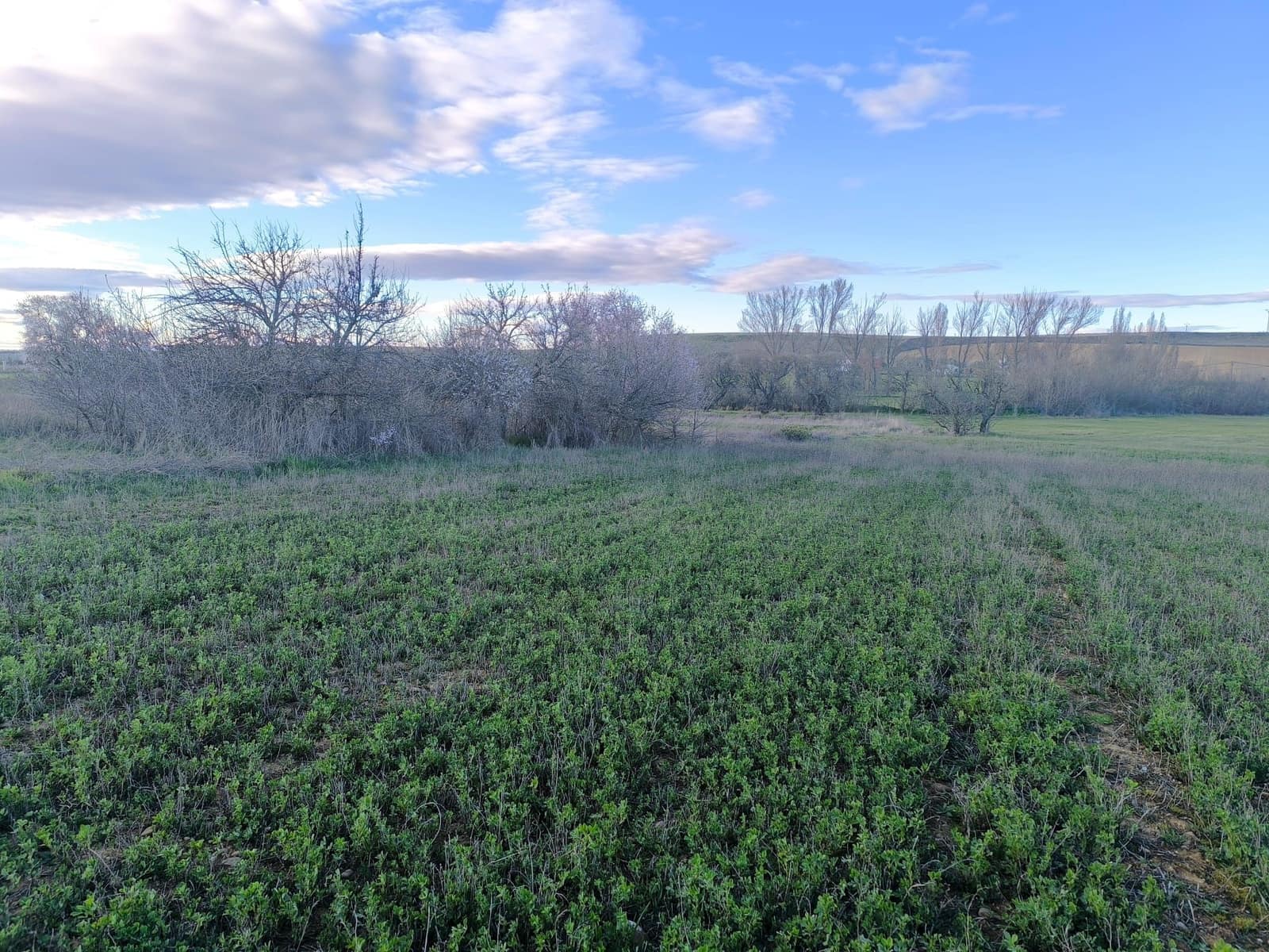 Area Edificabile in vendita in Pajares de los Oteros - 14.800 € (Rif: 10160295)