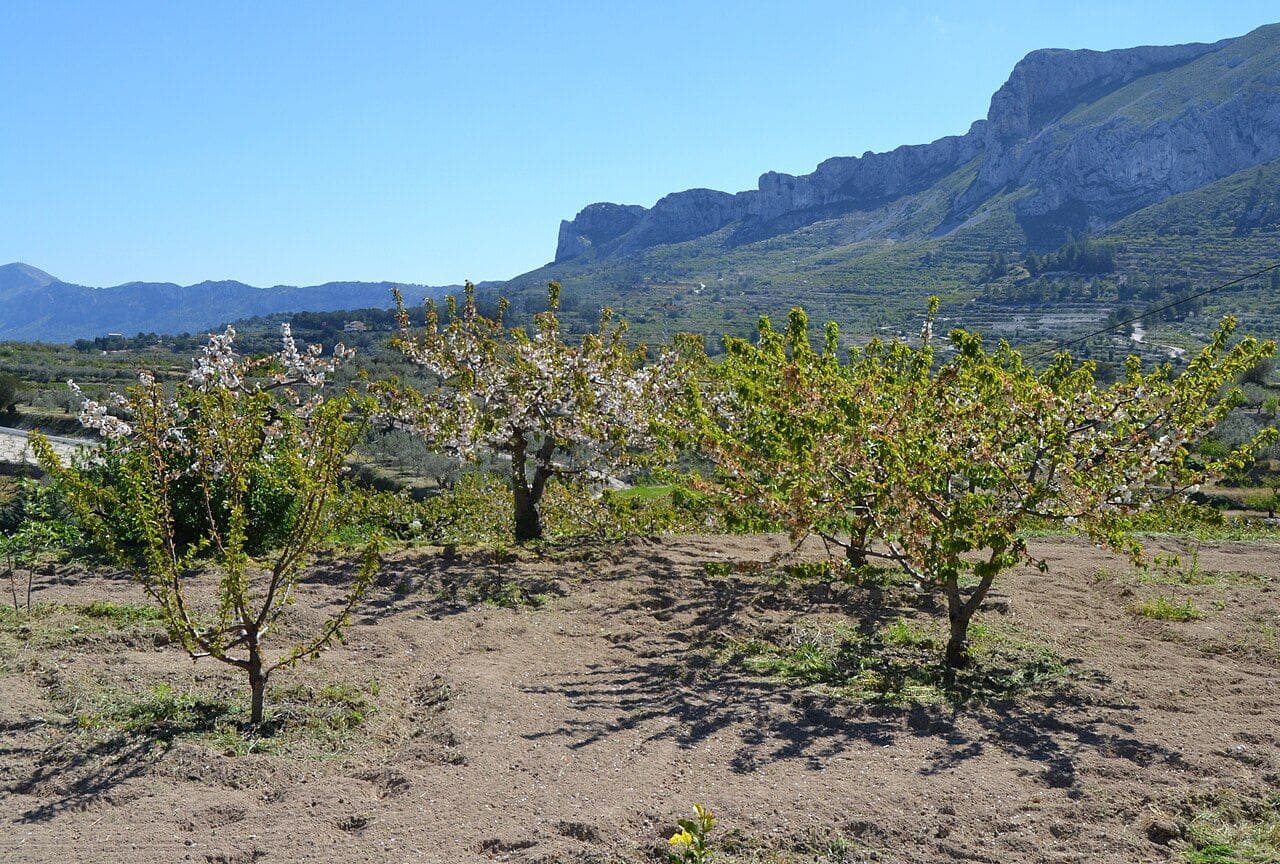 5 bedroom Townhouse for sale in Vall de Gallinera - € 79,000 (Ref: 10161995)