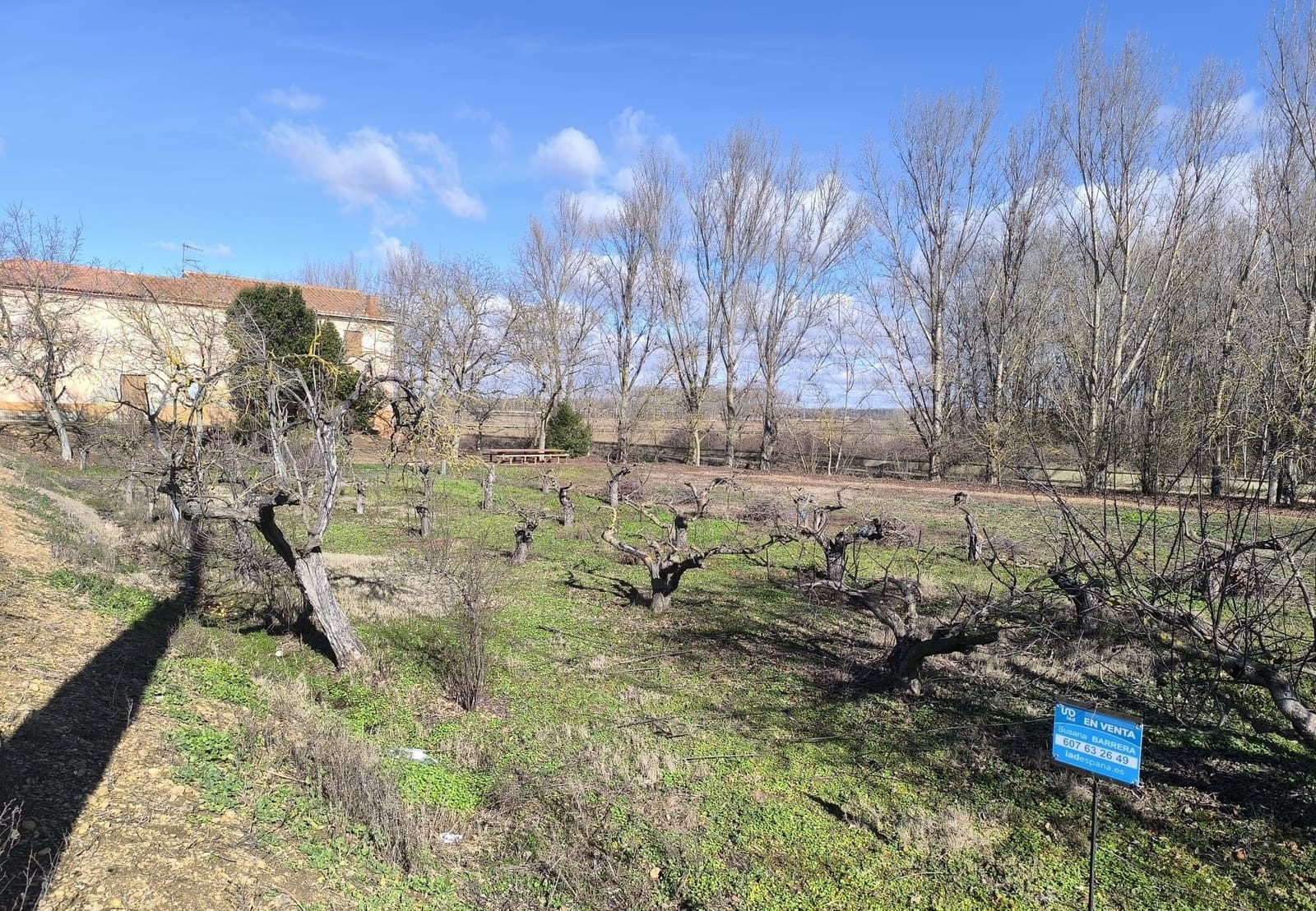 Building Plot for sale in San Millan de los Caballeros - € 25,800 (Ref: 10162247)