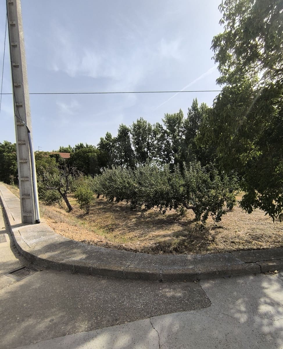 Building Plot for sale in San Millan de los Caballeros - € 25,800 (Ref: 10162247)