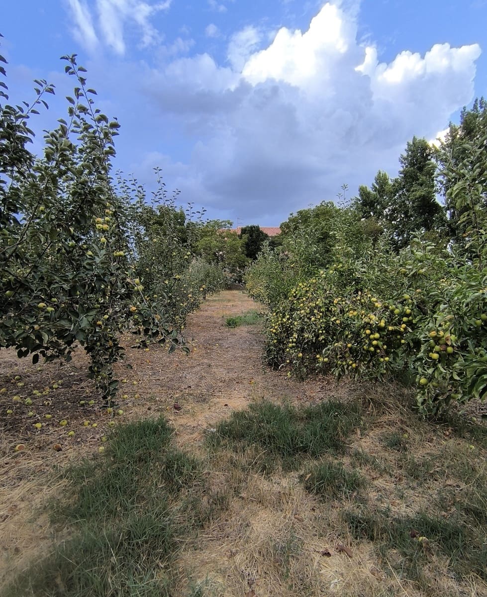 Building Plot for sale in San Millan de los Caballeros - € 25,800 (Ref: 10162247)