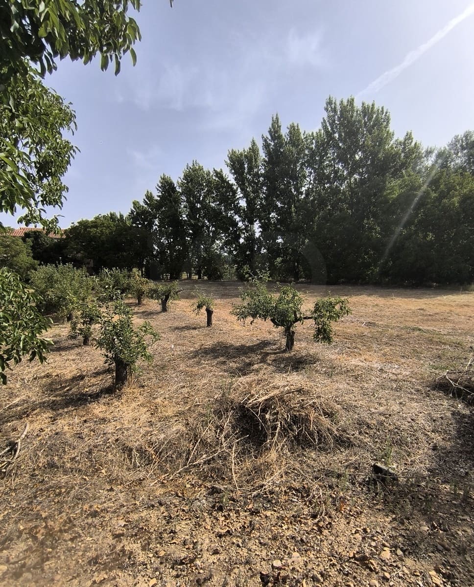 Building Plot for sale in San Millan de los Caballeros - € 25,800 (Ref: 10162247)