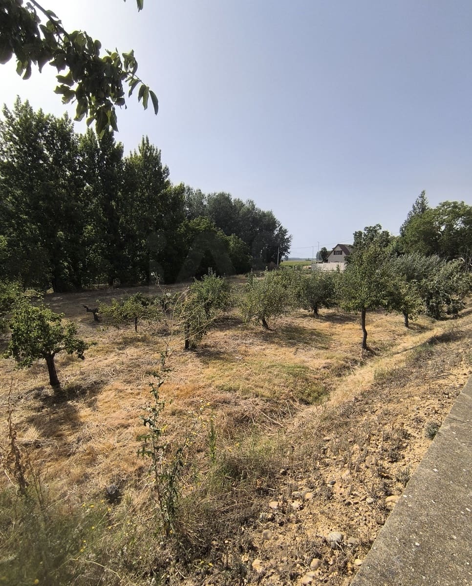 Building Plot for sale in San Millan de los Caballeros - € 25,800 (Ref: 10162247)