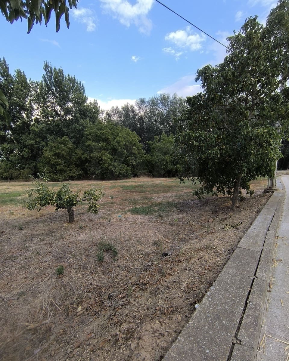 Building Plot for sale in San Millan de los Caballeros - € 25,800 (Ref: 10162247)