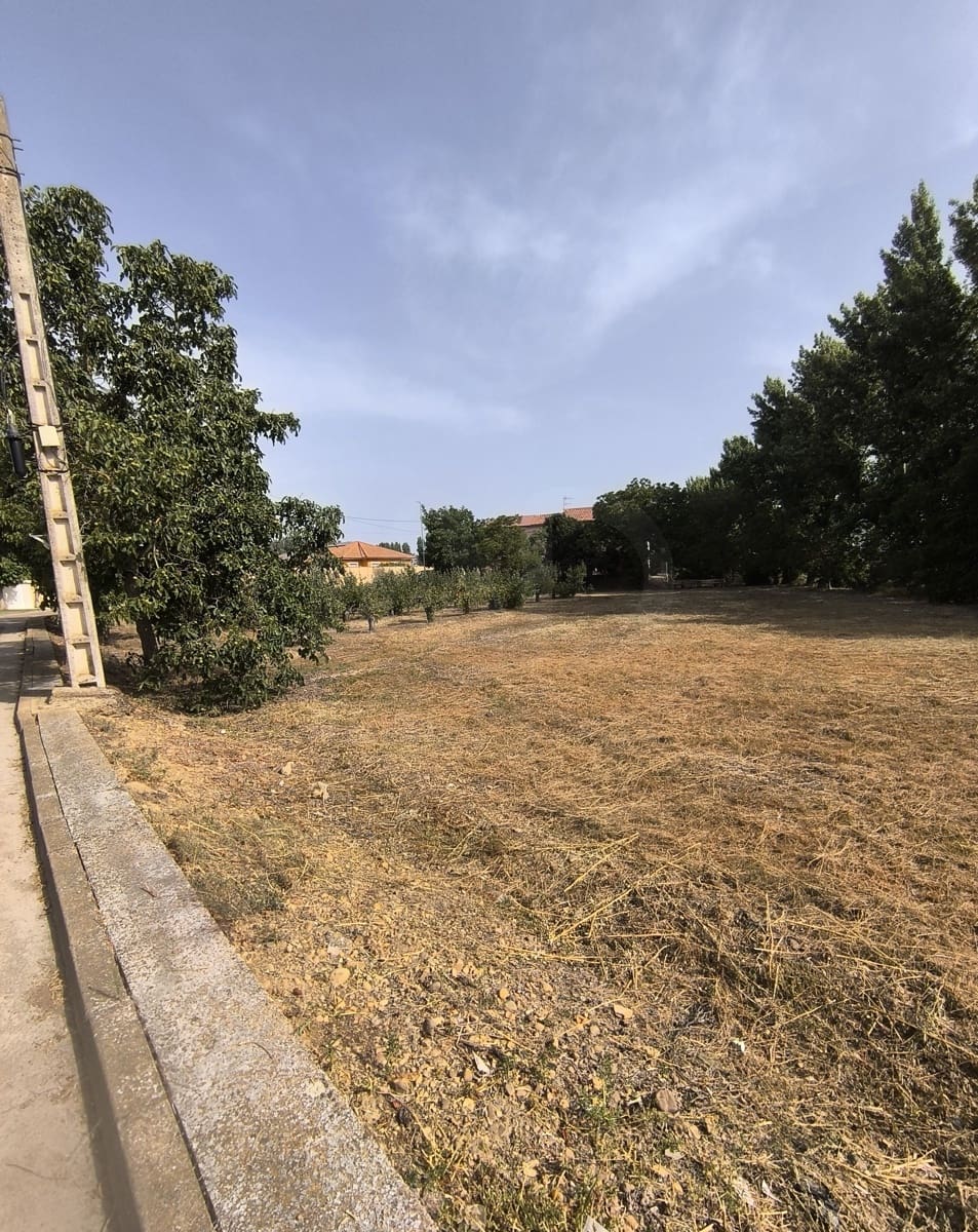 Building Plot for sale in San Millan de los Caballeros - € 25,800 (Ref: 10162247)