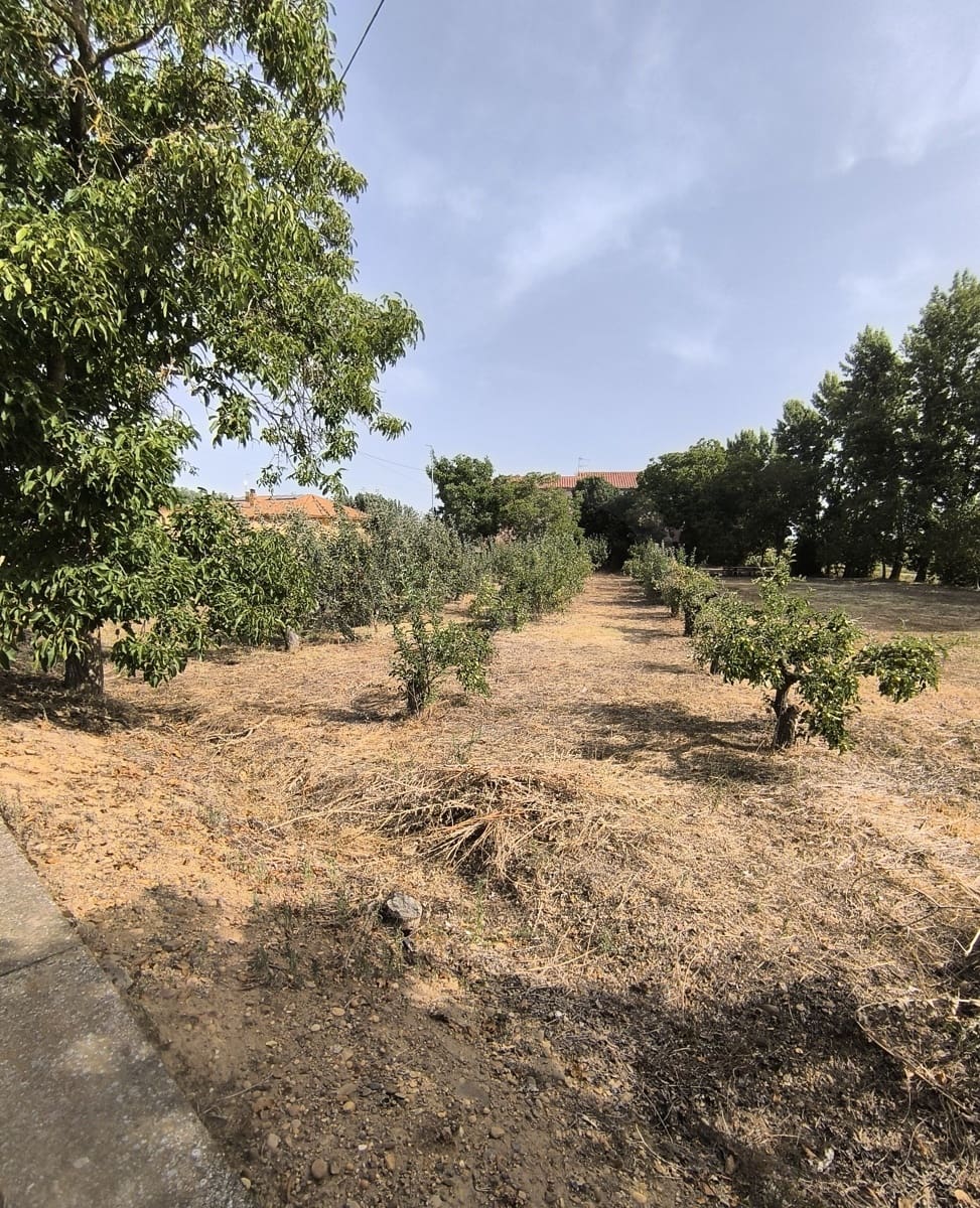 Building Plot for sale in San Millan de los Caballeros - € 25,800 (Ref: 10162247)