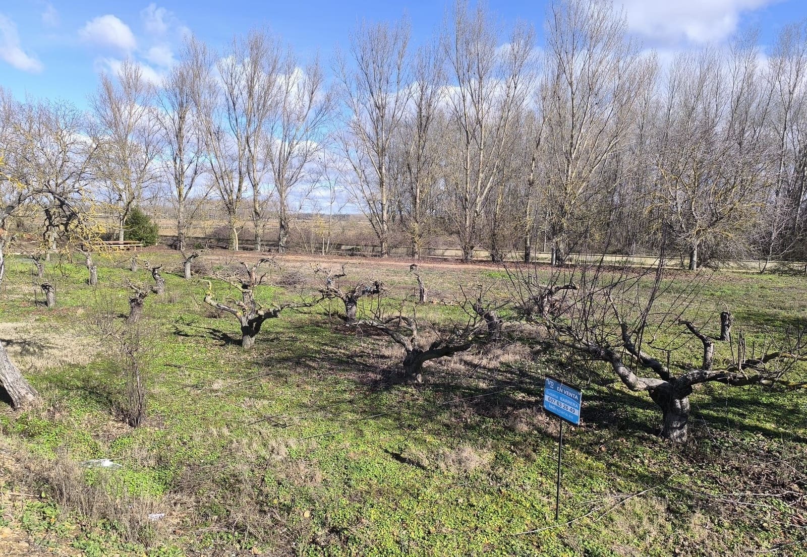 Building Plot for sale in San Millan de los Caballeros - € 25,800 (Ref: 10162247)