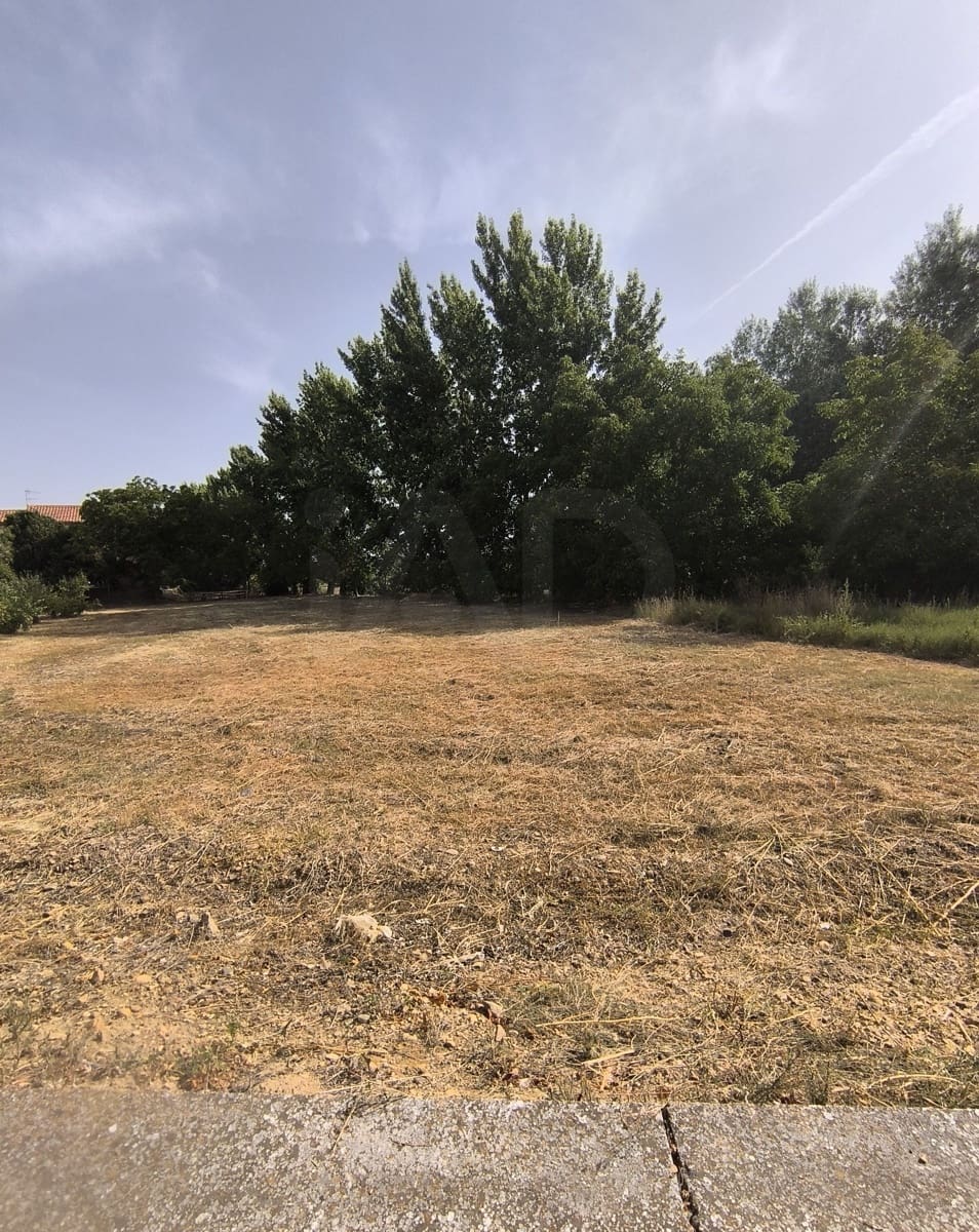 Building Plot for sale in San Millan de los Caballeros - € 25,800 (Ref: 10162247)