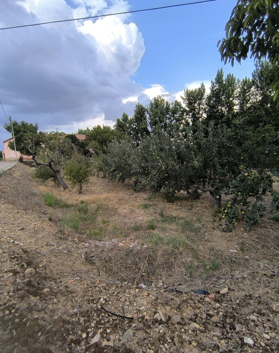 Building Plot for sale in San Millan de los Caballeros - € 25,800 (Ref: 10162247)
