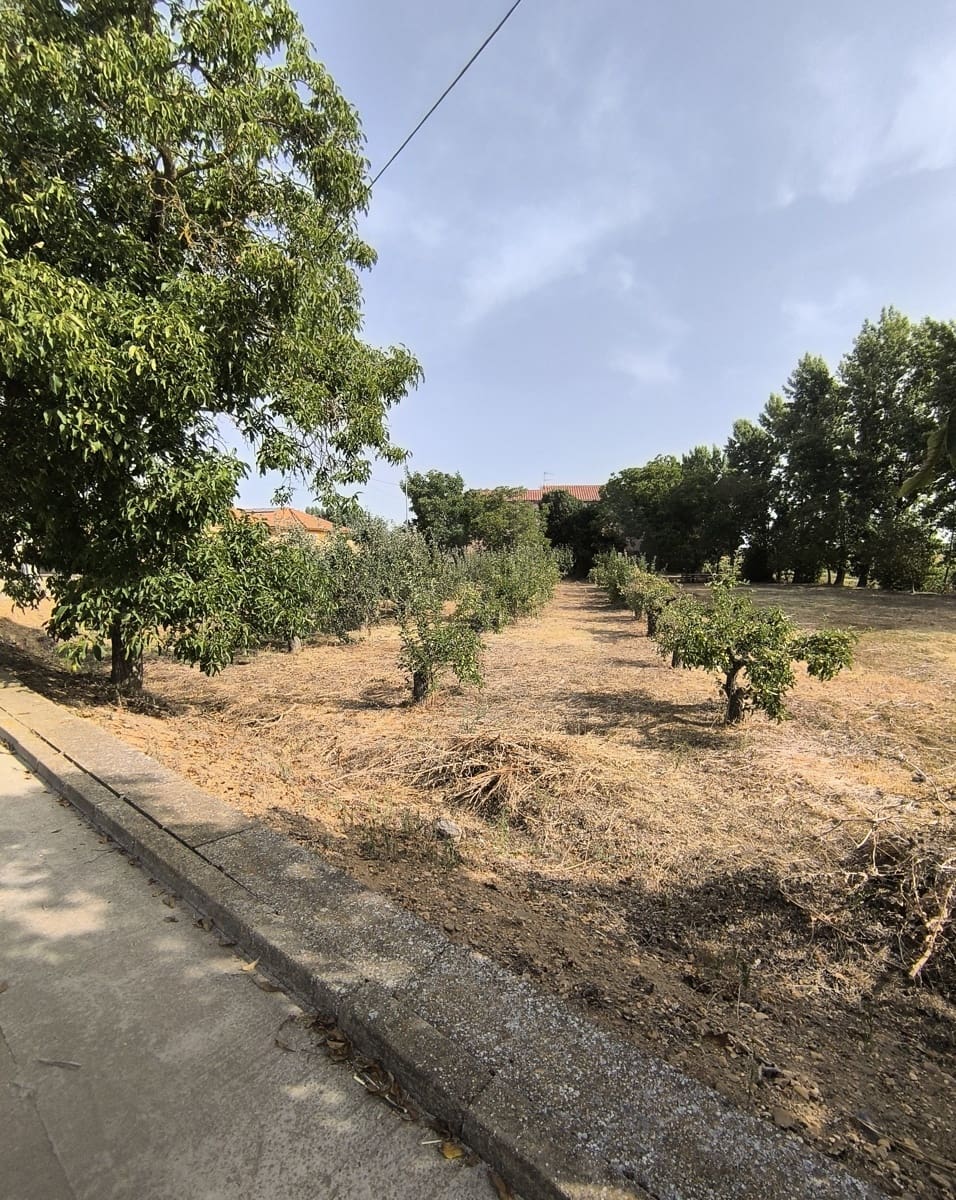 Building Plot for sale in San Millan de los Caballeros - € 25,800 (Ref: 10162247)