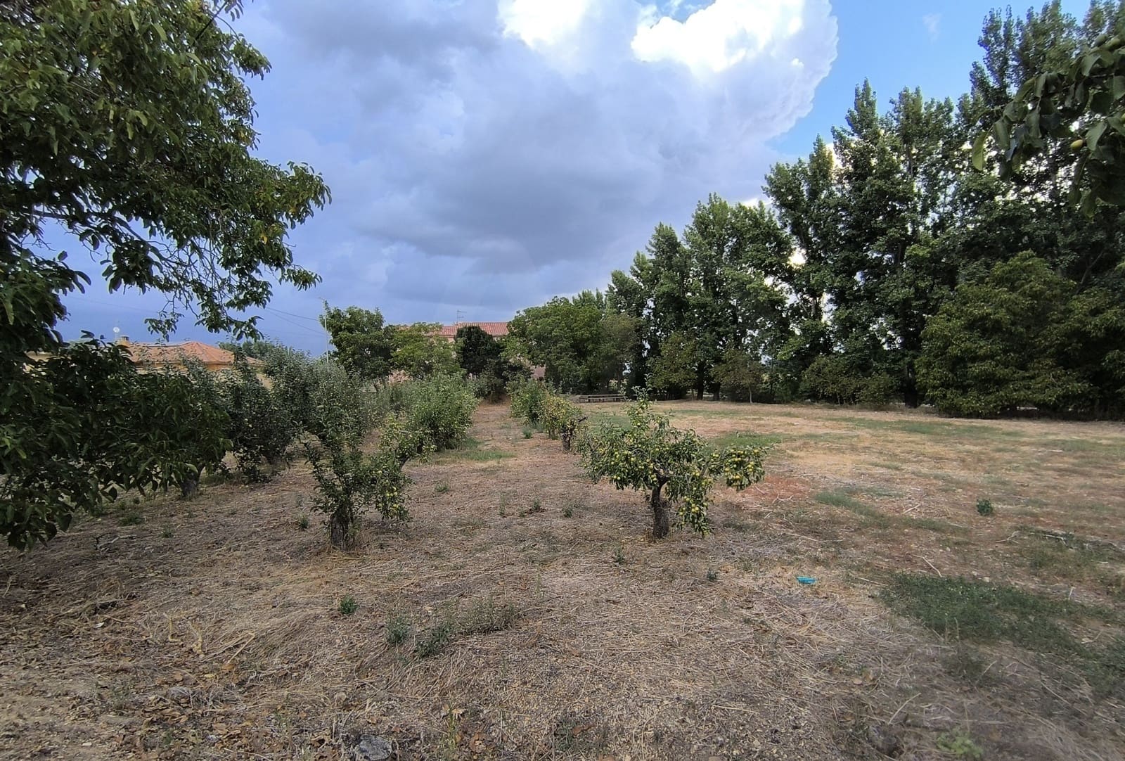 Building Plot for sale in San Millan de los Caballeros - € 25,800 (Ref: 10162247)