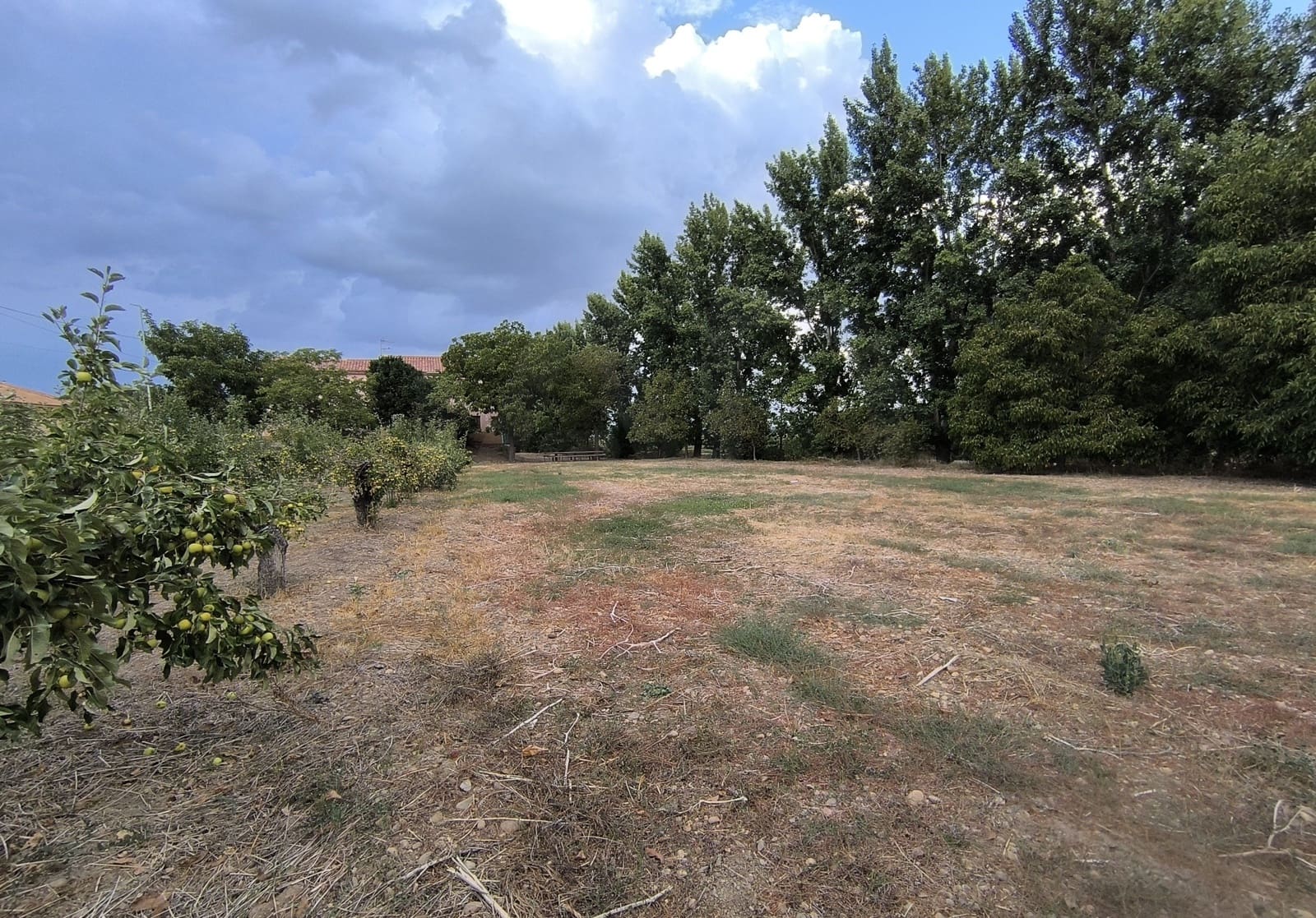 Building Plot for sale in San Millan de los Caballeros - € 25,800 (Ref: 10162247)