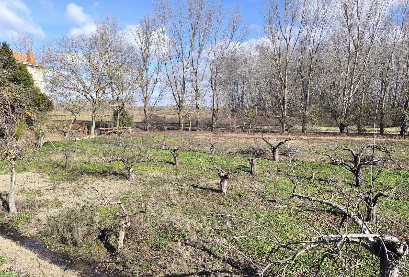 Building Plot for sale in San Millan de los Caballeros - € 25,800 (Ref: 10162247)